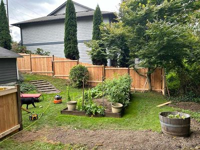 Wooden Fence Replacement